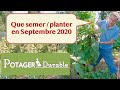 Que semer ou planter en septembre 2020 au potager