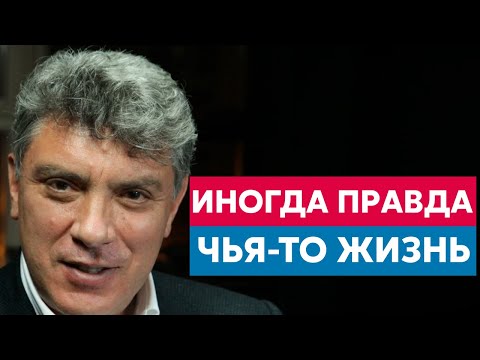 Видео: Родители кошек и собак: обзор показывает удивительные различия