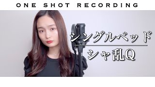 【女性キーで歌う】【一発録り】シングルベッド / シャ乱Q cover by 髙野瑠菜