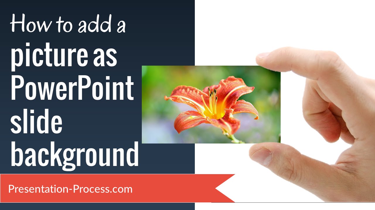 How to add a picture as PowerPoint Slide Background - YouTube