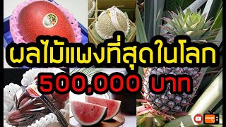 ผลไม้ราคาแพงที่สุดในโลก ราคา 500,000 บาท