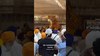 today live amritsar sahib #goldentemple #amritsar #harmandirsahib