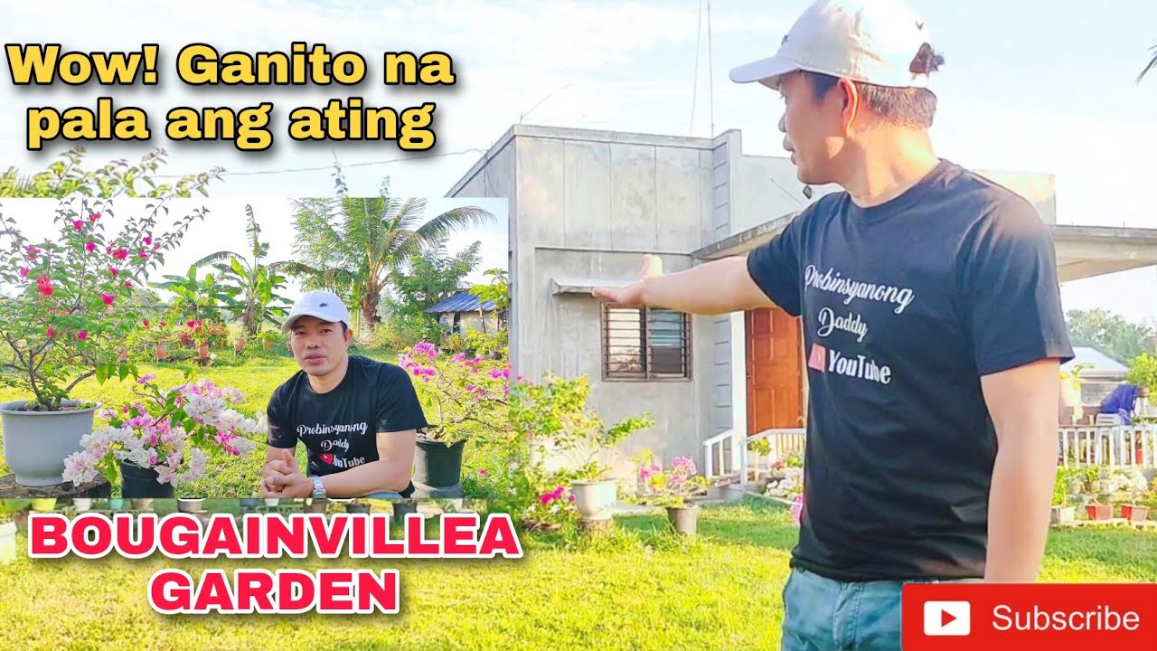 Update sa Bougainvillea Garden! Wow ganito na pala!