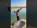 علوج علوج شلع كلبي لوج لوج سرسري
