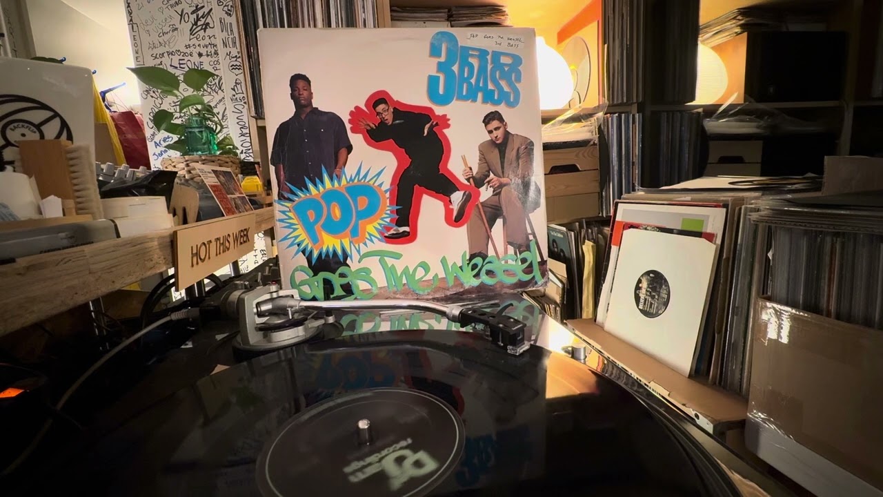 3rd Bass - Derelict Of Dialect (LP Version) • RECORDS FROM THE SHOP • BACKFLIP