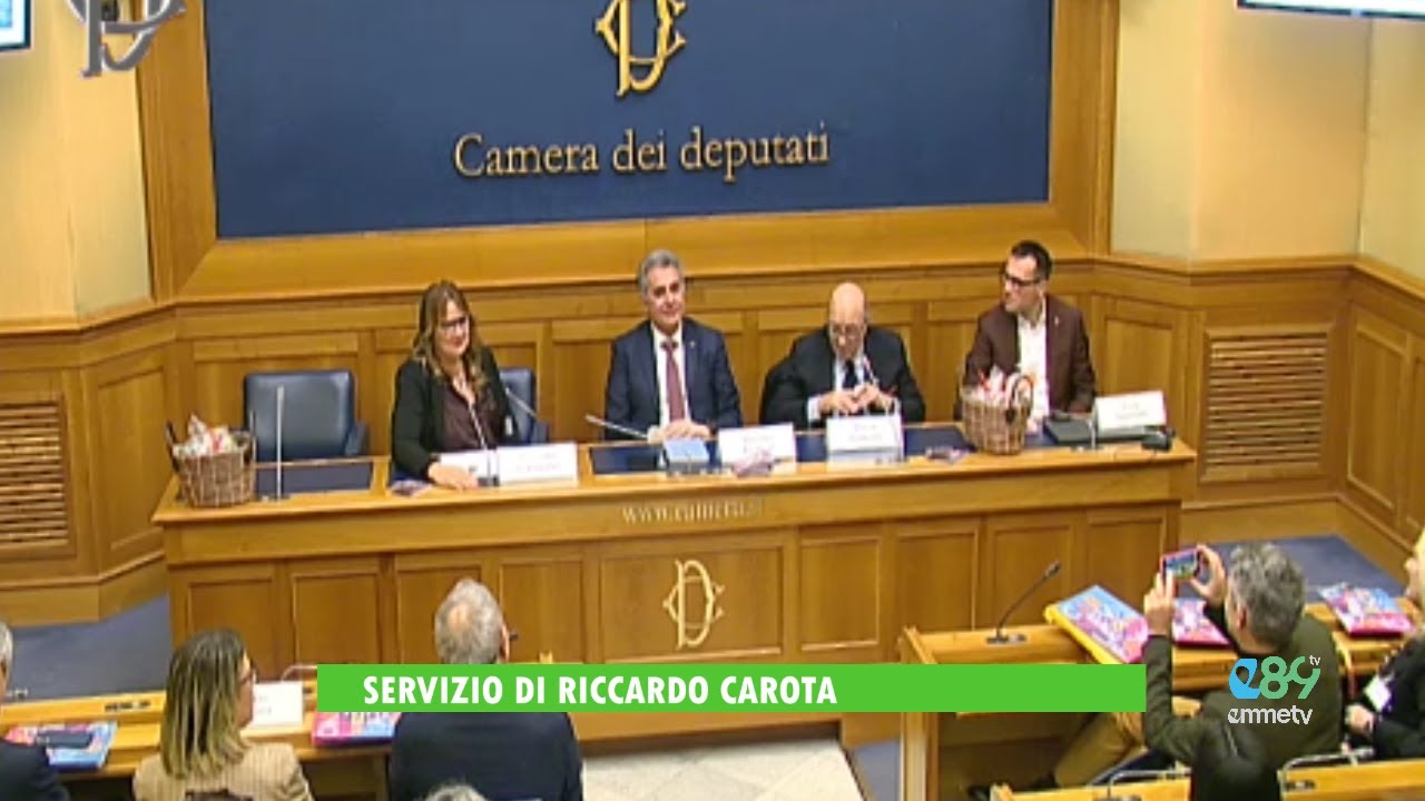 TG EMME. Dante Ferretti coordinatore artistico del Carnevale di Fano 2026