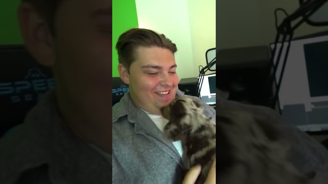 Mijn Puppy Ollie 