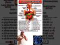 मानव पाचन तंत्र Human Digestive System #science #tricks #gs #gk #quiz #shorts #viral #pyq #cet #ai