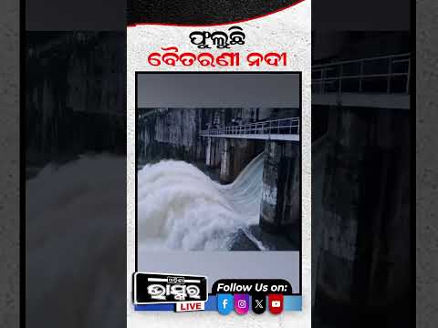 ଲଗାଣ ବର୍ଷା ଯୋଗୁଁ ଖୋଲିଲା ରେମାଳ ଡ୍ୟାମର ୪ ଟି ଗେଟ୍ #ytshorts #shortsvideo #keonjhar #DamGateOpened