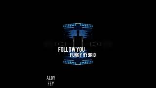 Aldy'Fey_-_Follow You-(FunkyHybrid)_2021New!!!