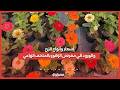 تبدأ بـ10 جنيه أسعار وأنواع الزرع والورود في معرض الزهور بالمتحف الزراعي