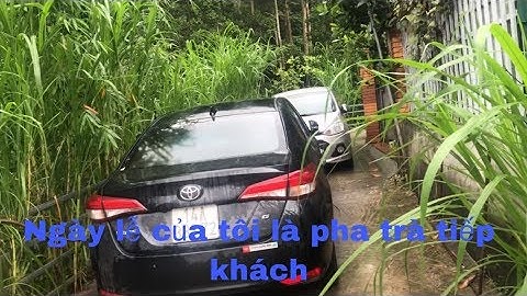 Dúi trung quốc | Dúi mốc đại | Ngày lễ pha trà tiếp khách đến chơi bắt giống | Chuột Tre 360