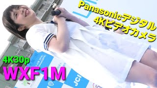 【4K30p】Panasonicデジタル4KビデオカメラWXF1M撮影映像【追い撮り】ビデオカメラでズームを使ってみよう❗ ベルボン ジオ ポッドE74Mの一脚使用