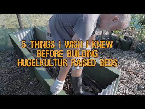 5 things I wish I knew before building my hugelkultur beds