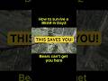How to Survive a Bear in DayZ (New player tip)