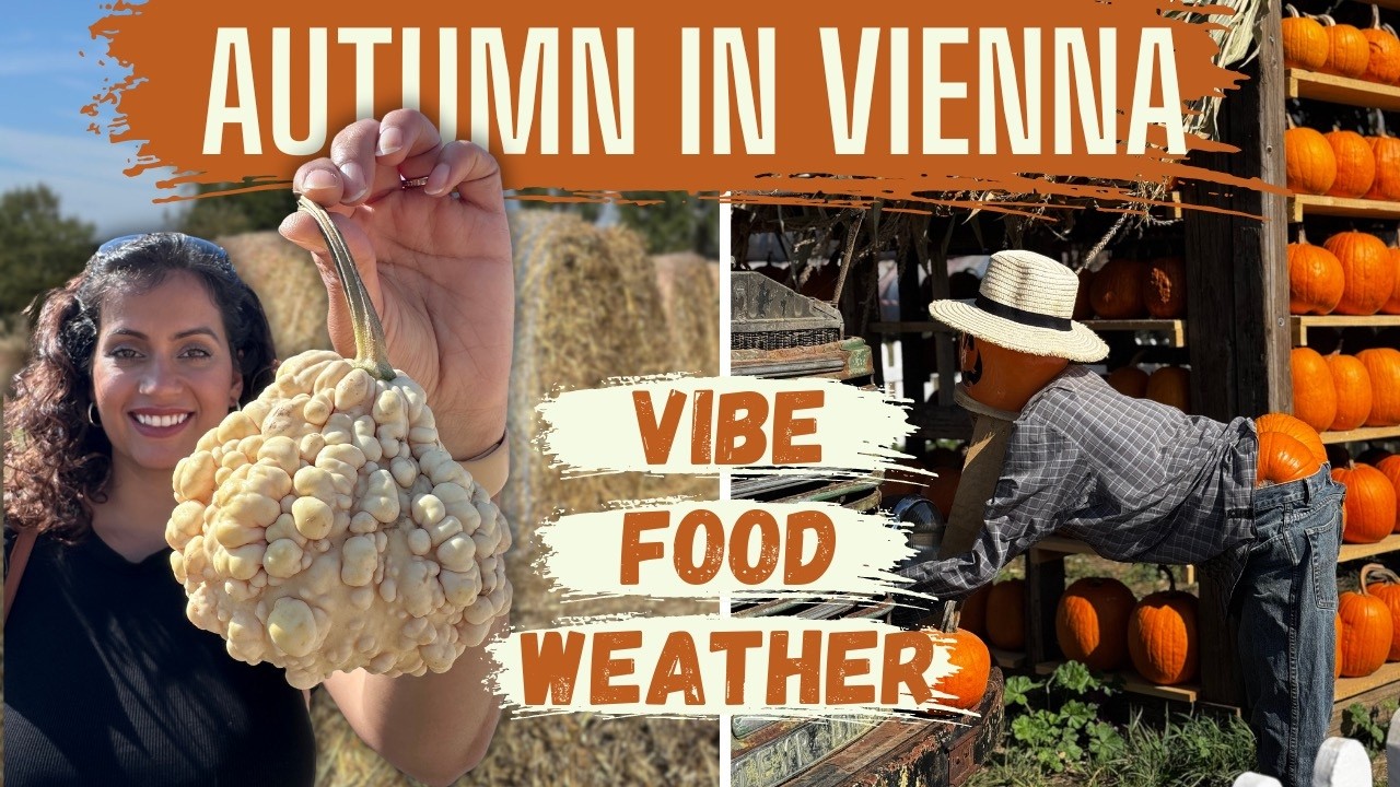 Fall in Vienna! Pumpkin Festivals, Clothing Tips, Food and More!