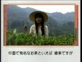 ローラ・チャンの杭州レポート《3》陈怡 in Hangzhou