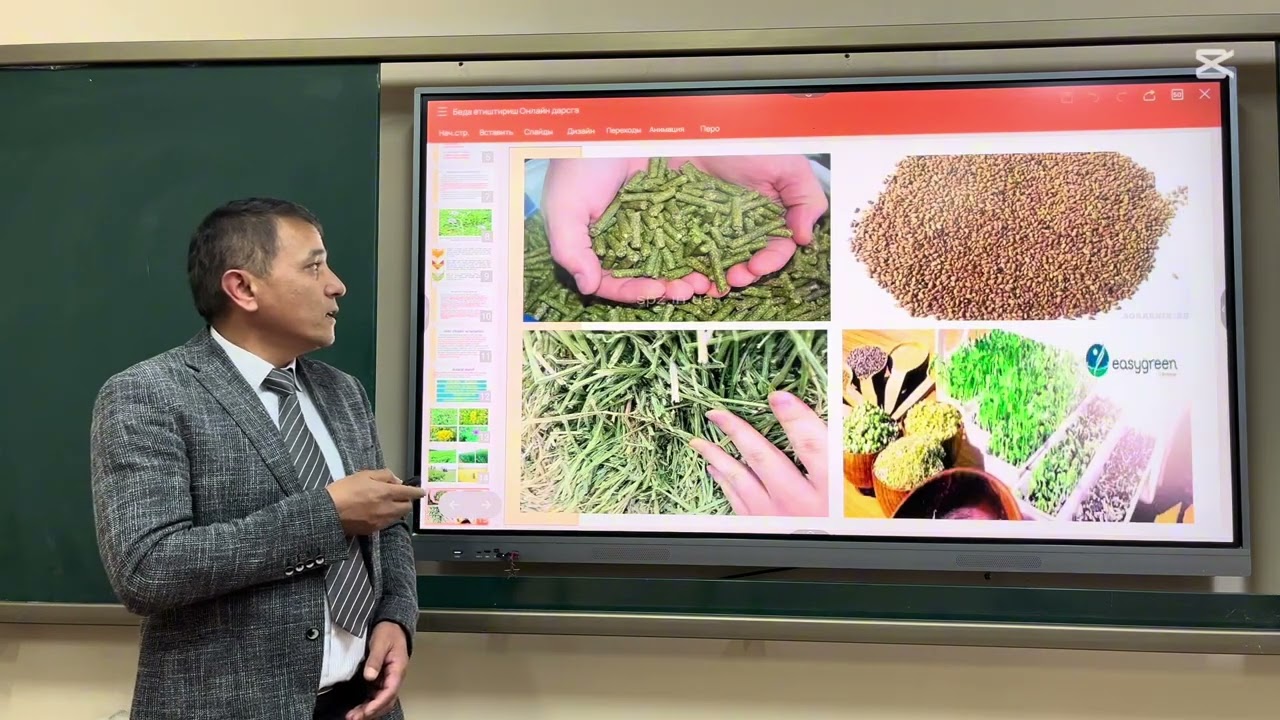 Beda yetishtirish texnologiyasi - Беда етиштириш технологияси