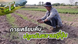 การเตรียมดินปลูกมันหวานญี่ปุ่น | สูตรลับฉบับบ้านนา | มหาอำนาจบ้านนา