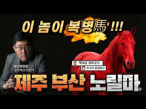 9월 1주차 제주 부산 서울 노릴마! 명불허전 허찬진 경마!