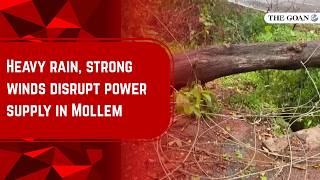 Heavy rain, strong winds disrupt power supply in Mollem