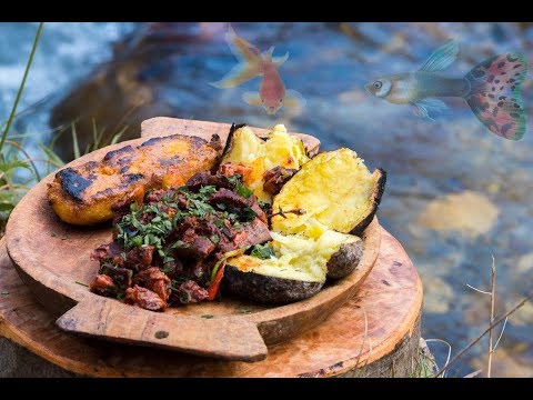 Chicken Hearts and Gizzards - Forest Cooking with Polenta and Baked Potatoes - Outdoor cooking