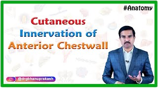 Cutaneous innervation of anterior chestwall - Anatomy of thorax