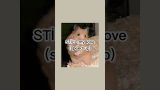 STİLL-my love(speed up)