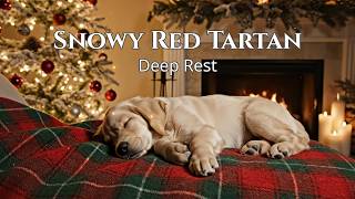 🔴 12 Hours Snowy Red Tartan: White Fireplace & Puppy Music for Mindful Holiday Night Rest HD screenshot 5