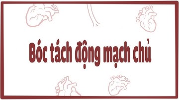 Bóc tách động mạch chủ
