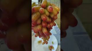 Царица гроздь