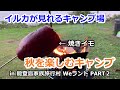 イルカが見れるキャンプ場で秋を楽しむキャンプ PART2【きゃんキャンプ】