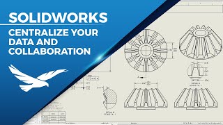 Centralize Your Data and Collaboration Across Your Organization