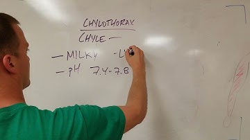 Chylothorax: What it is and How to Diagnose it