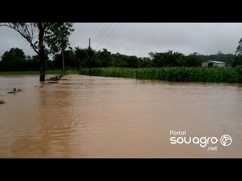 Lavouras ficam completamente alagadas com chuva acima na média no Sul