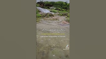 سورة ال عمران ❤️ #قرآن #اكسبلور #اكسبلورهاشتاقات #قرآن #لايك #قرآن_كريم #ترند #تيك_توك