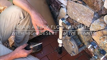 How to repair a leaking backflow preventer