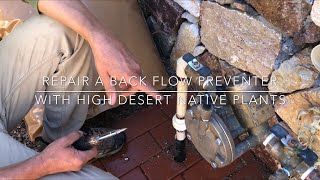 How to repair a leaking backflow preventer