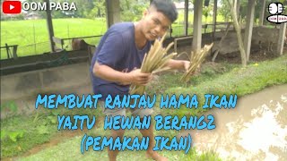 MEMBUAT RANJAU BERANG- BERANG  DENGAN BAMBU (HEWAN PEMAKAN IKAN)#berang'#hamakolam