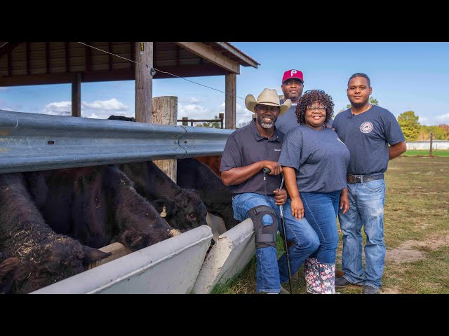 Military veteran uses cows, agriculture as therapy for PTSD
