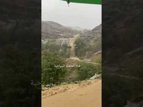 يالله ياللي سترك أستر من الليل ودجاه