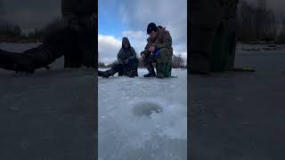 Ураганный клев окуня с палец по камере #зимняярыбалка #рыбалка #мормышка #окунь