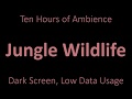 Ambient Sound - Jungle Wildlife - 10 Hours - Black Screen