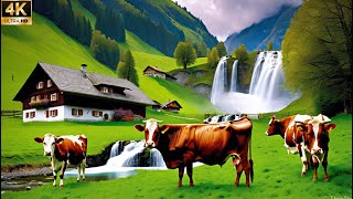 :  SWITZERLAND - THE MOST SPECTACULAR COUNTRY IN THE WORLD - A HEAVEN IN THE WORLD - 4K - WALK TOUR