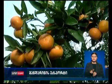 \"ეკონომეტრი\