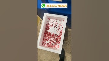 Ferrule Wire Crimp Connector Insulated Cord End Terminal Automatic Assemble Machine Supplier China