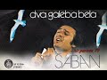 Saban Saulic - Stari kocijas - (Audio 1979)