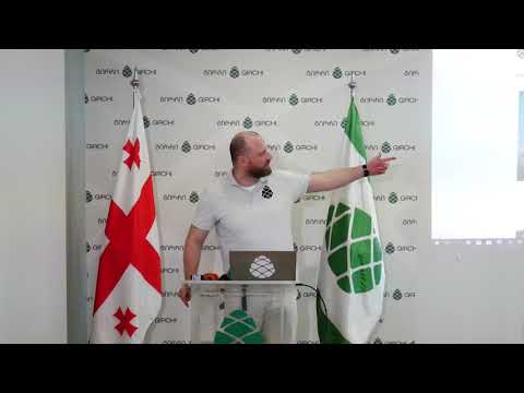 გირჩის ახალი პორტალი