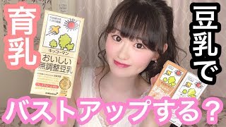 【バストアップ】ダイエットや育乳？検証！JKが豆乳を1週間飲み続けたら胸は大きくなるのか！？