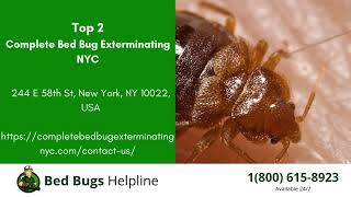 Top 3 Bed Bug Removal in Holmdel